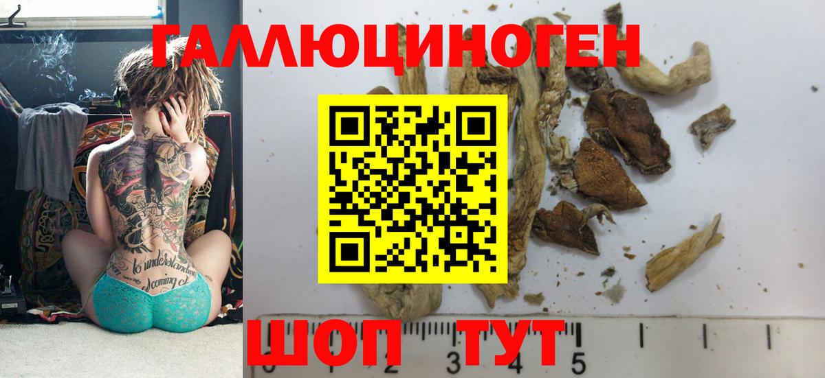 Псилоцибиновые грибы MAGIC MUSHROOMS Гулькевичи