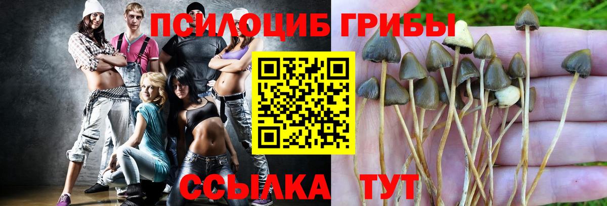 что такое наркотик  Галлюциногенные грибы MAGIC MUSHROOMS  Вход с VPN  Гулькевичи 